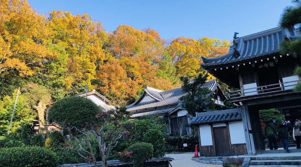 越智氏菩提寺 光雲寺
