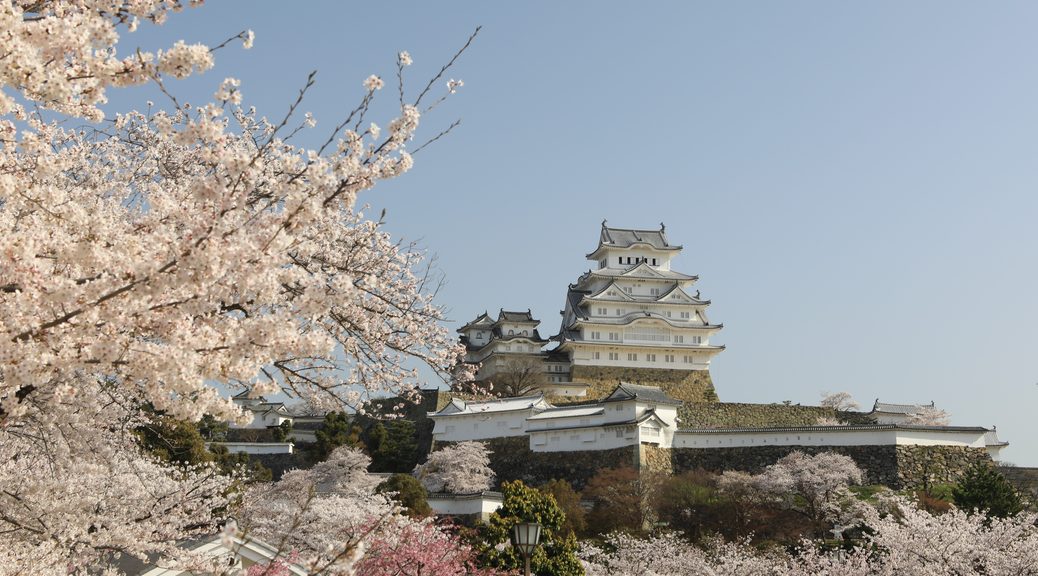 桜の姫路城