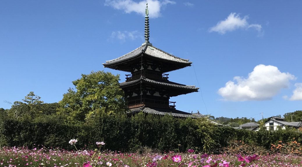 法起寺とコスモス